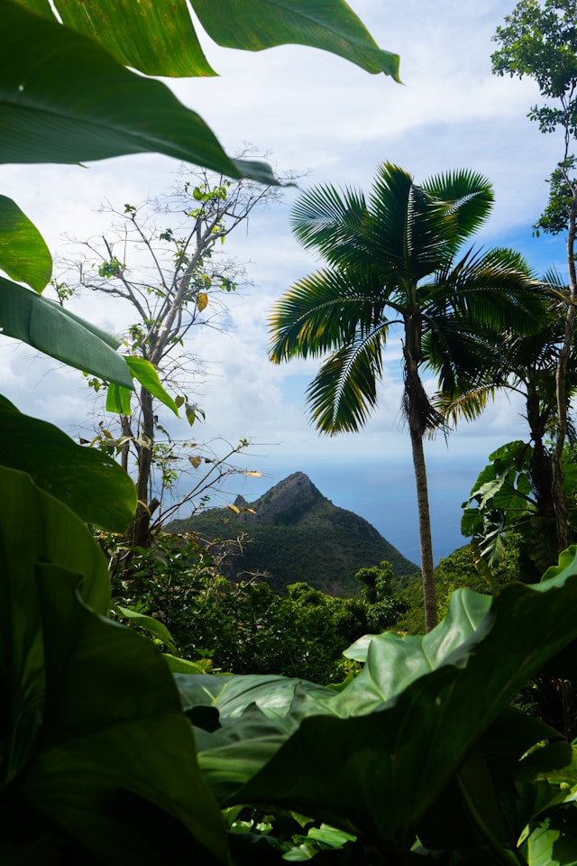 image caraïbes